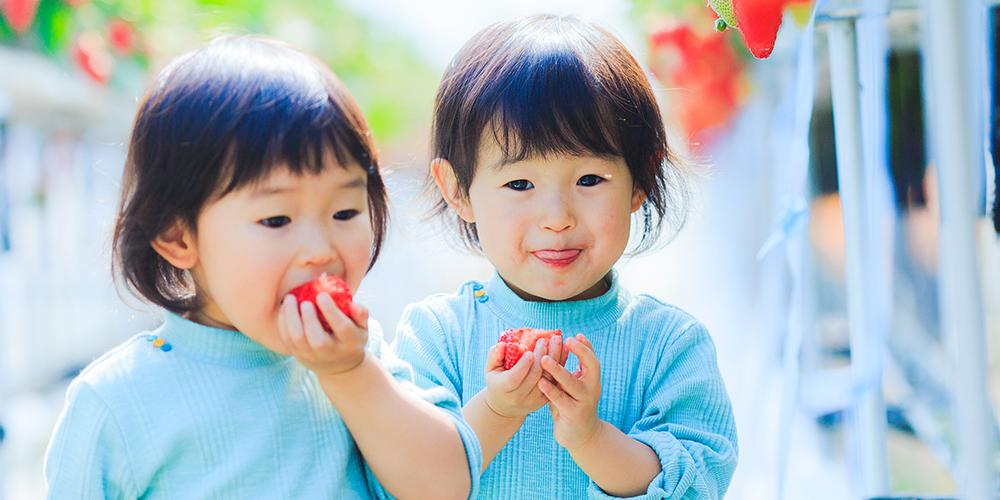 いちごの直販&いちご狩り